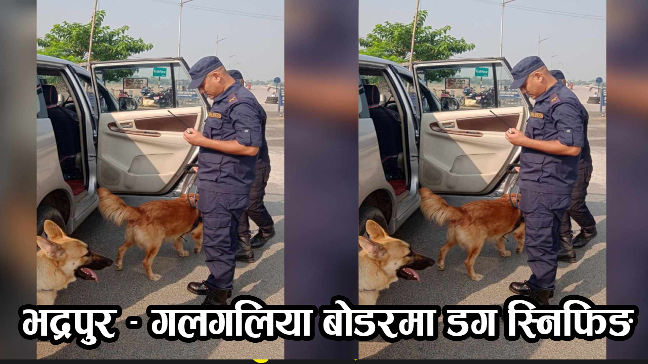 भद्रपुर – गलगलिया बोडरमा ‘डग स्निफिङ’