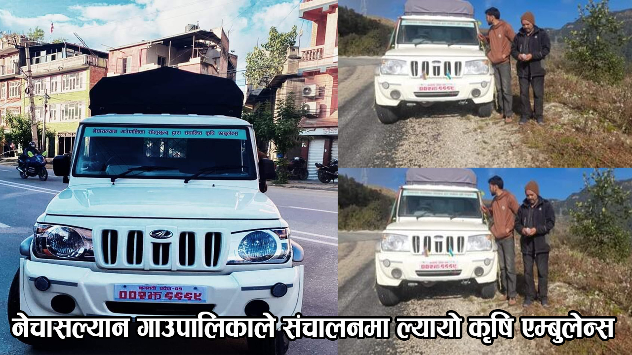 नेचासल्यान गाँउपालिकाले खरिद गरेको कृषि एम्बुलेन्स संचालनमा आएको छ
